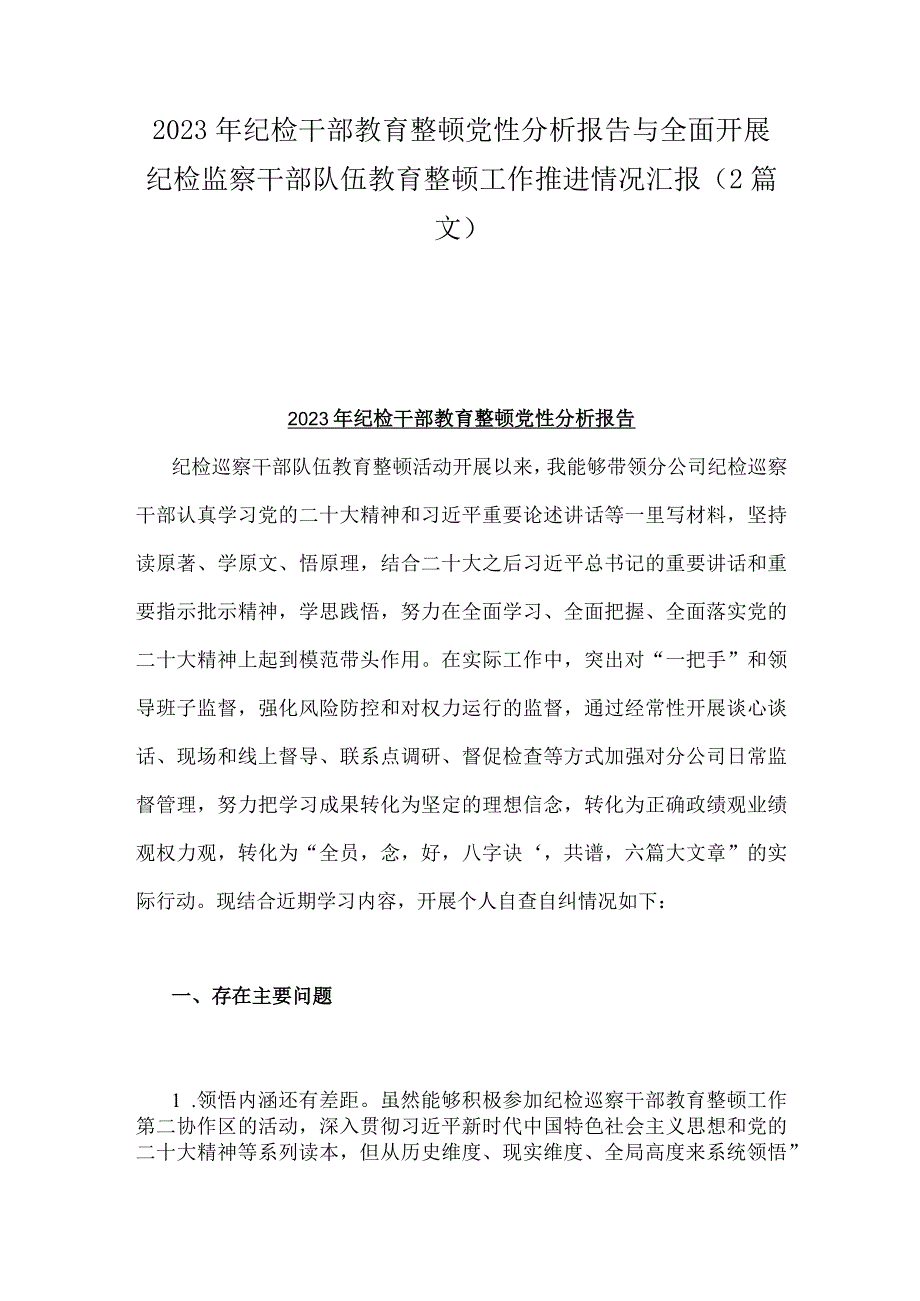 2023年纪检干部教育整顿党性分析报告与全面开展纪检监察干部队伍教育整顿工作推进情况汇报（2篇文）.docx_第1页