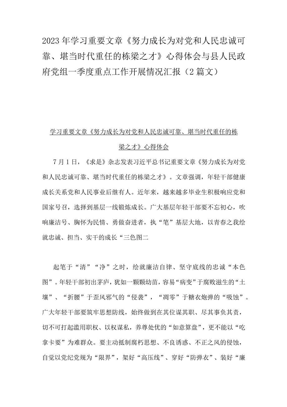 2023年学习重要文章《努力成长为对党和人民忠诚可靠、堪当时代重任的栋梁之才》心得体会与县人民政府党组一季度重点工作开展情况汇报（2篇文）.docx_第1页