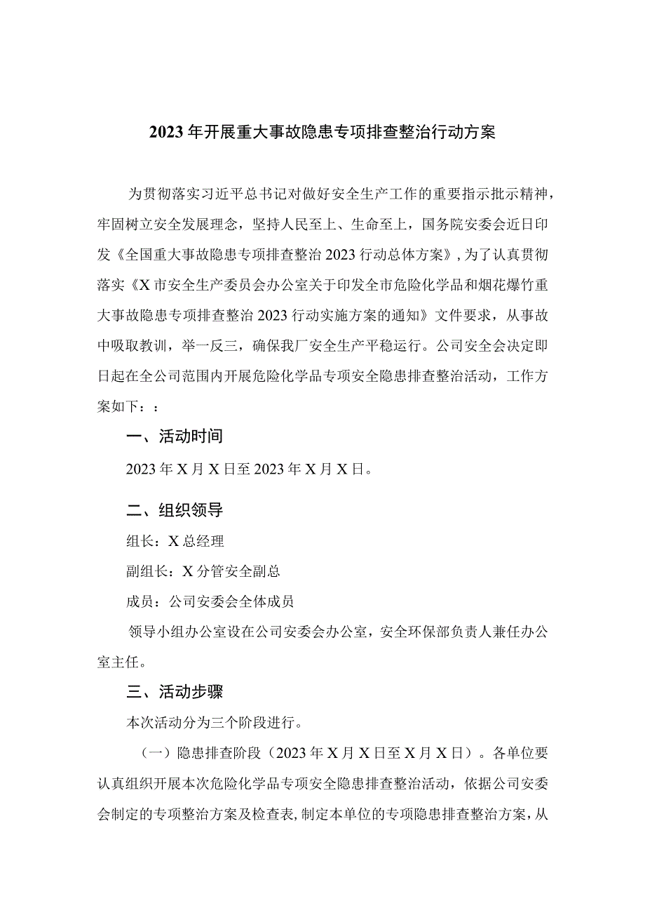 2023年开展重大事故隐患专项排查整治行动方案【10篇精选】供参考.docx_第1页