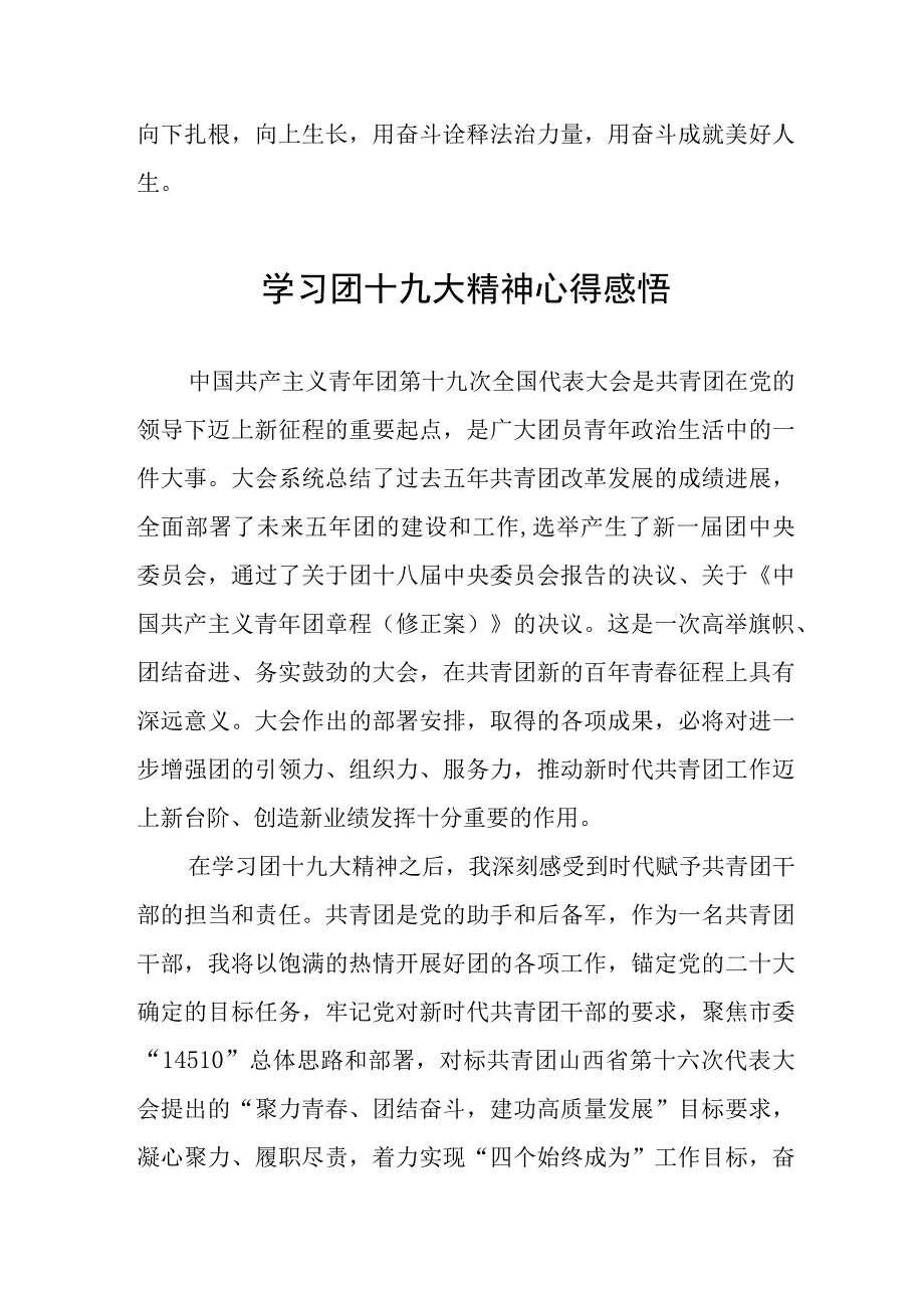 2023年学习团十九大精神心得体会模板四篇.docx_第2页