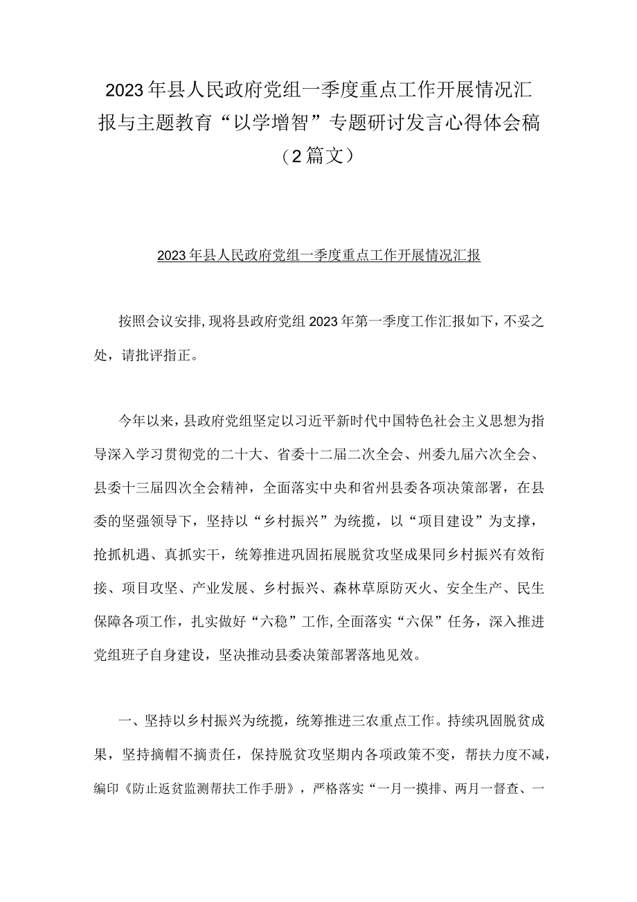 2023年县人民政府党组一季度重点工作开展情况汇报与主题教育“以学增智”专题研讨发言心得体会稿（2篇文）.docx_第1页