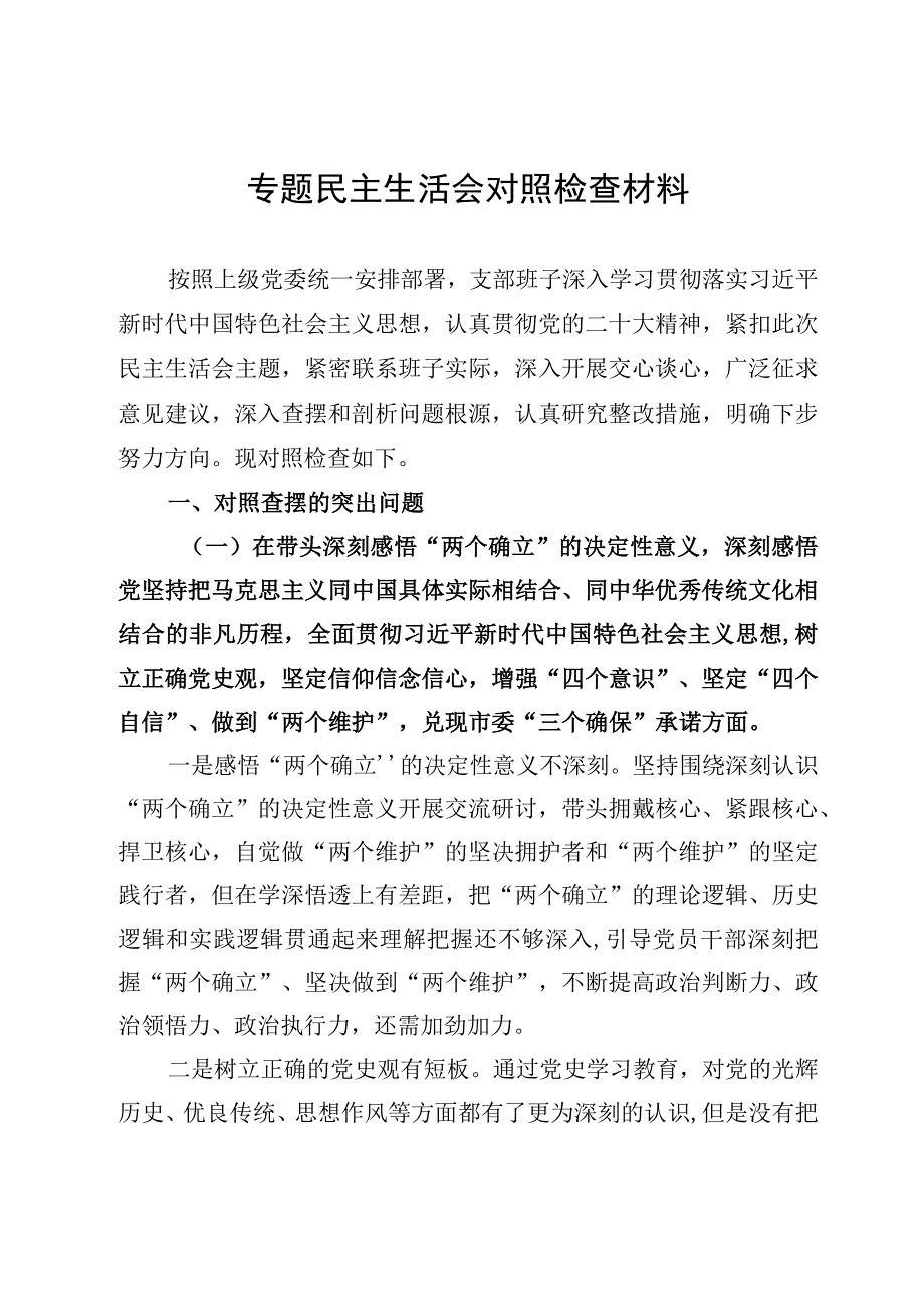 专题民主生活会对照检查材料.docx_第1页