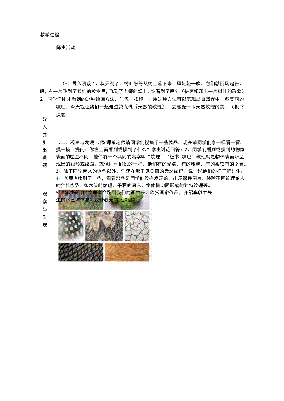 人民美术出版社 三年级上 第九课《天然的纹理》教学设计.docx_第2页