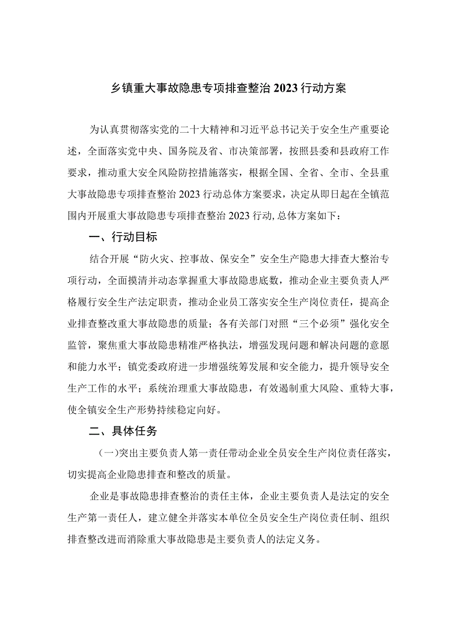 乡镇重大事故隐患专项排查整治行动方案精选共10篇.docx_第1页