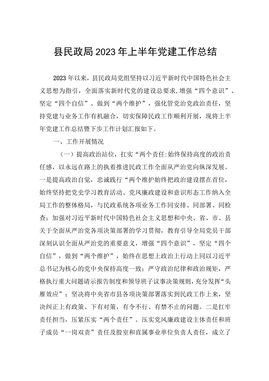 县民政局2023年上半年党建工作总结.docx_第1页