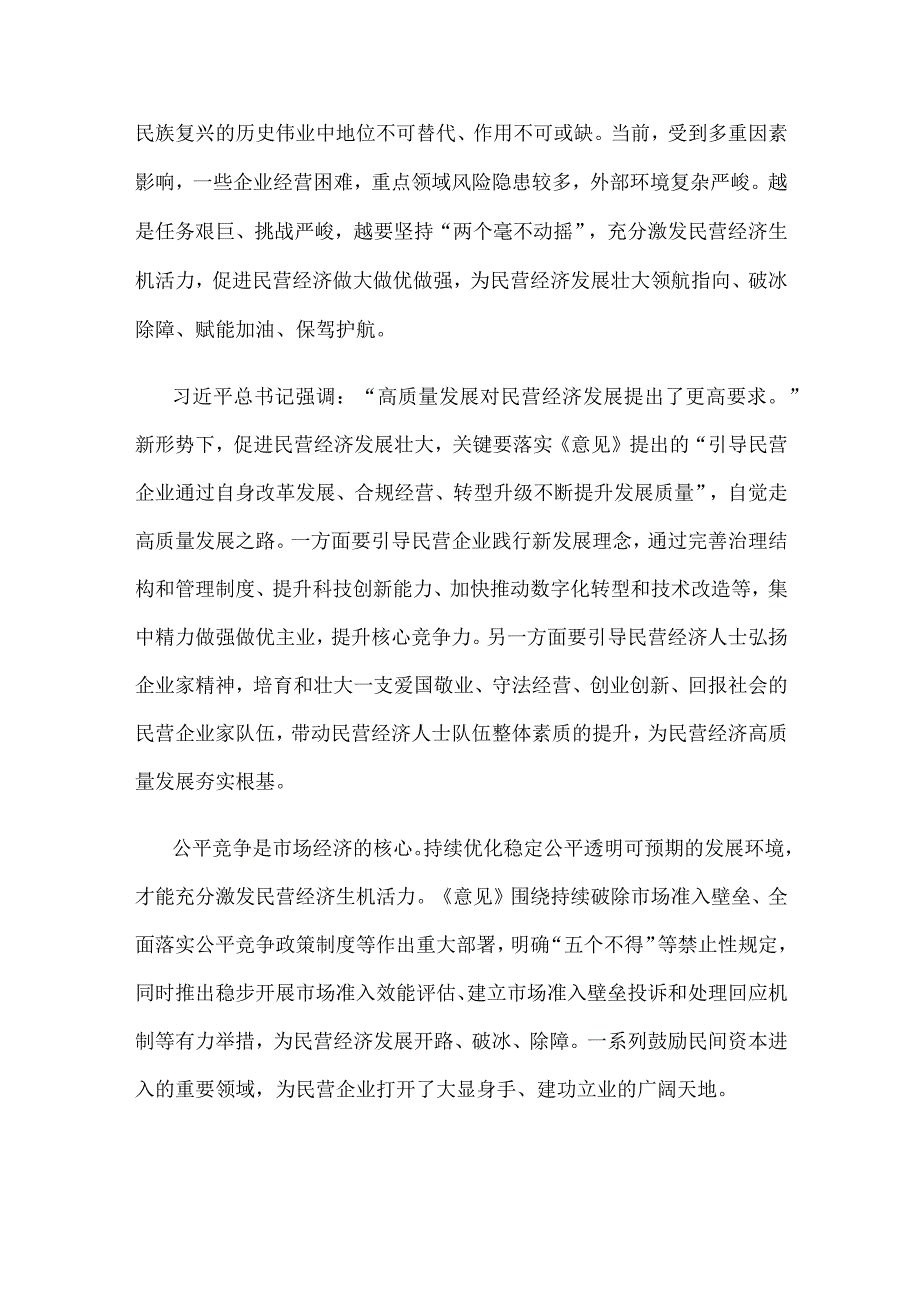 宣传贯彻《中共中央国务院关于促进民营经济发展壮大的意见》发言稿.docx_第2页