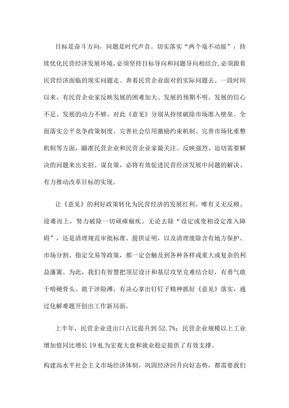 学习贯彻《关于促进民营经济发展壮大的意见》发言材料.docx_第2页