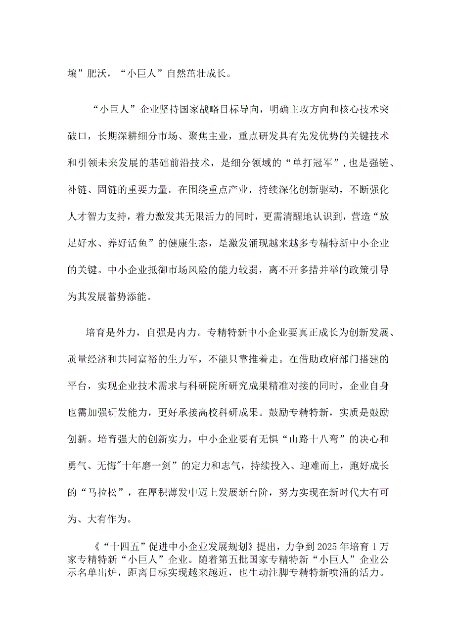 培育专精特新企业心得体会发言稿.docx_第2页