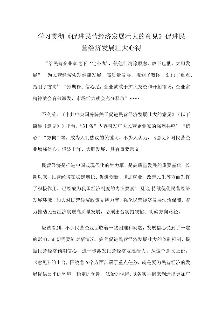 学习贯彻《促进民营经济发展壮大的意见》促进民营经济发展壮大心得.docx_第1页