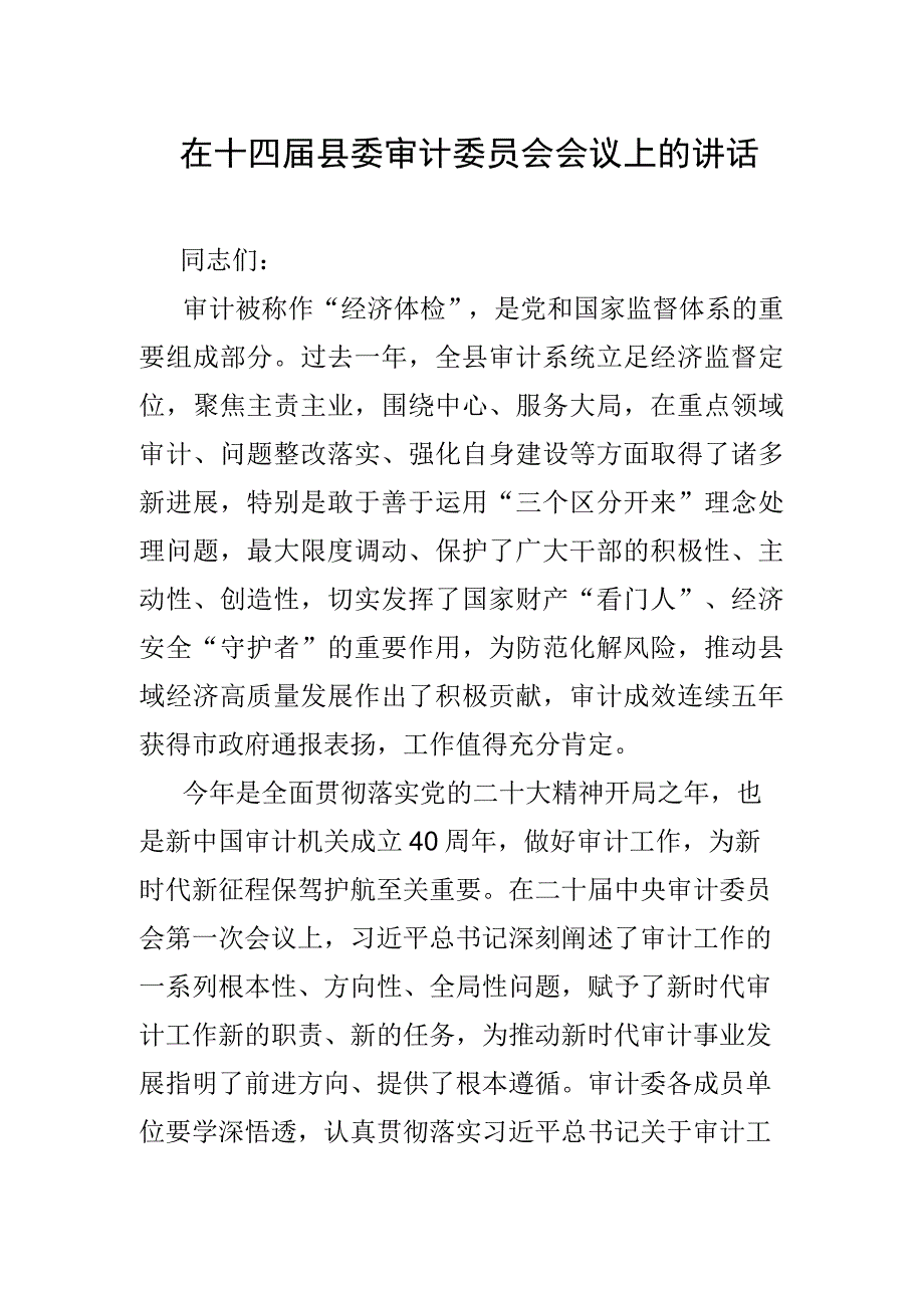 在十四届县委审计委员会会议上的讲话.docx_第1页