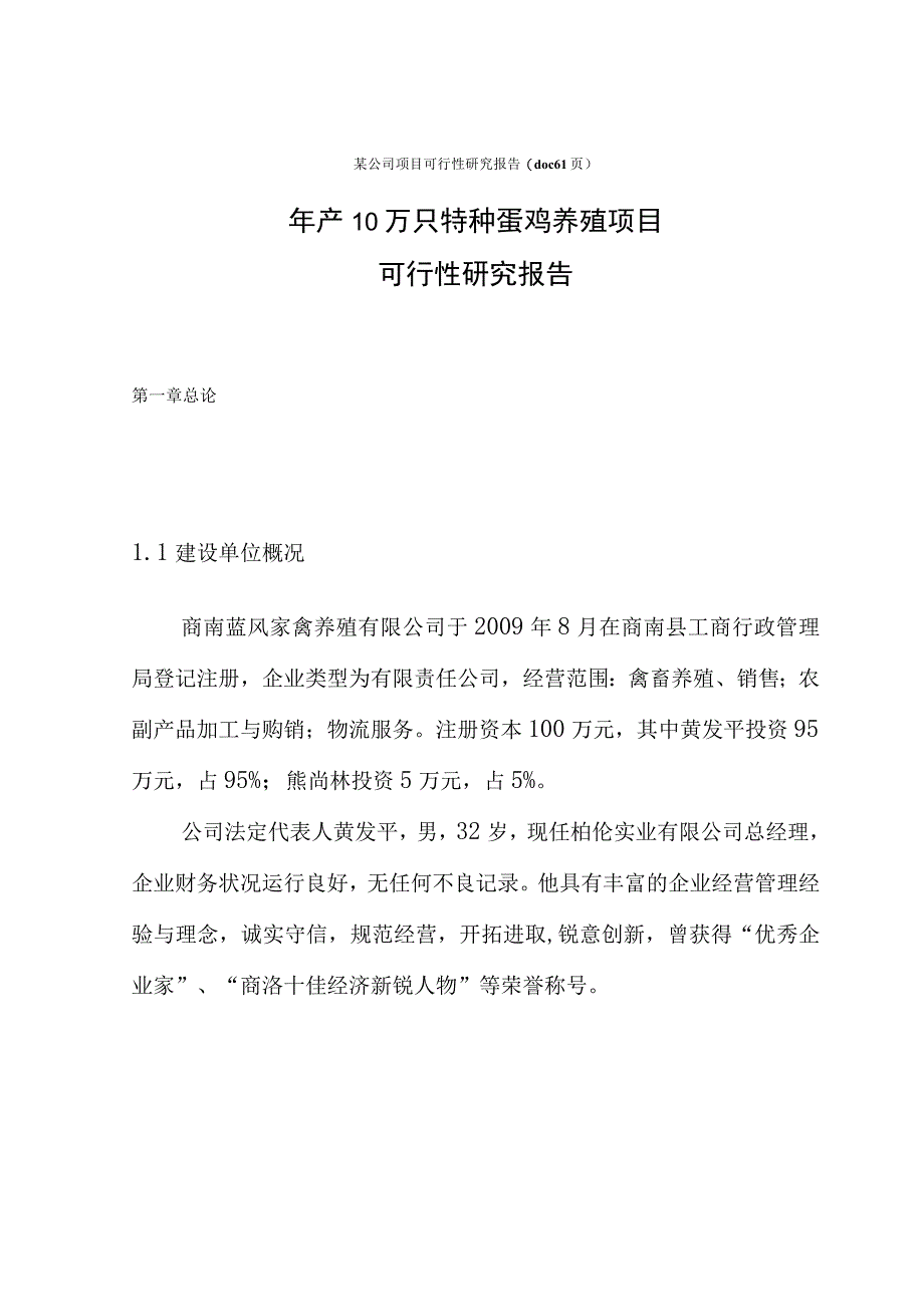 某公司项目可行性研究报告(doc 61页).docx_第1页