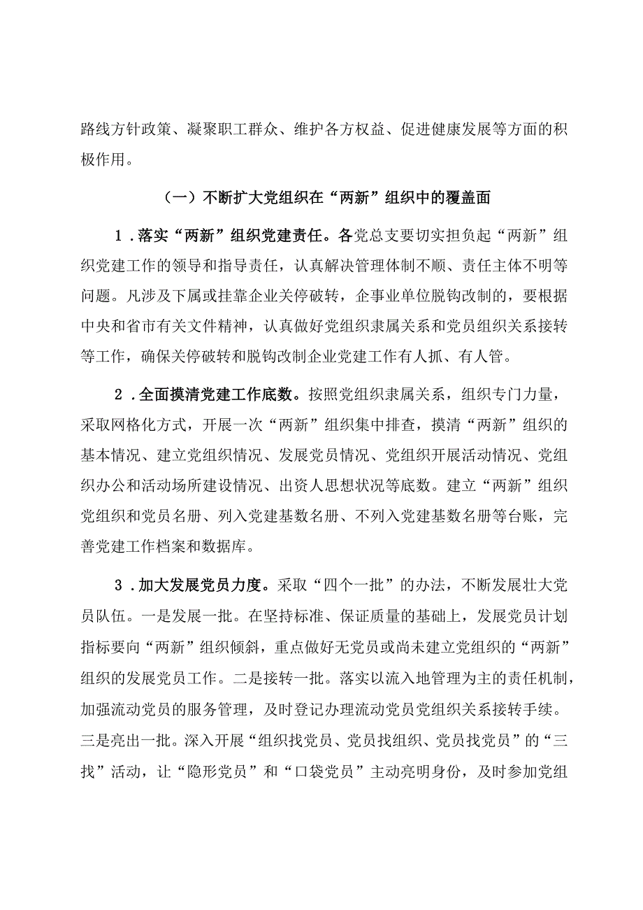 新组织党建方案.docx_第2页