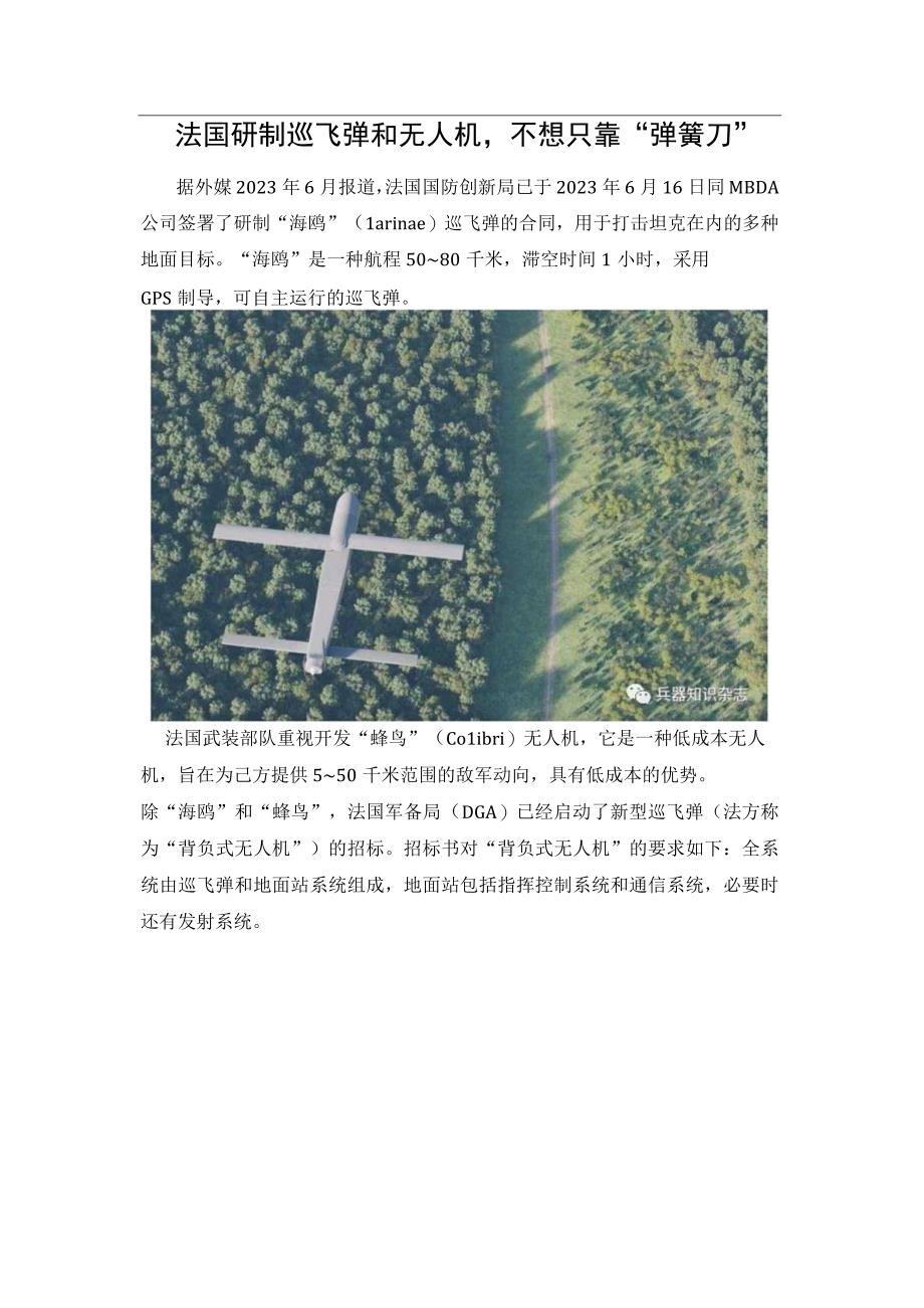 法国研制巡飞弹和无人机不想只靠“弹簧刀”.docx_第1页