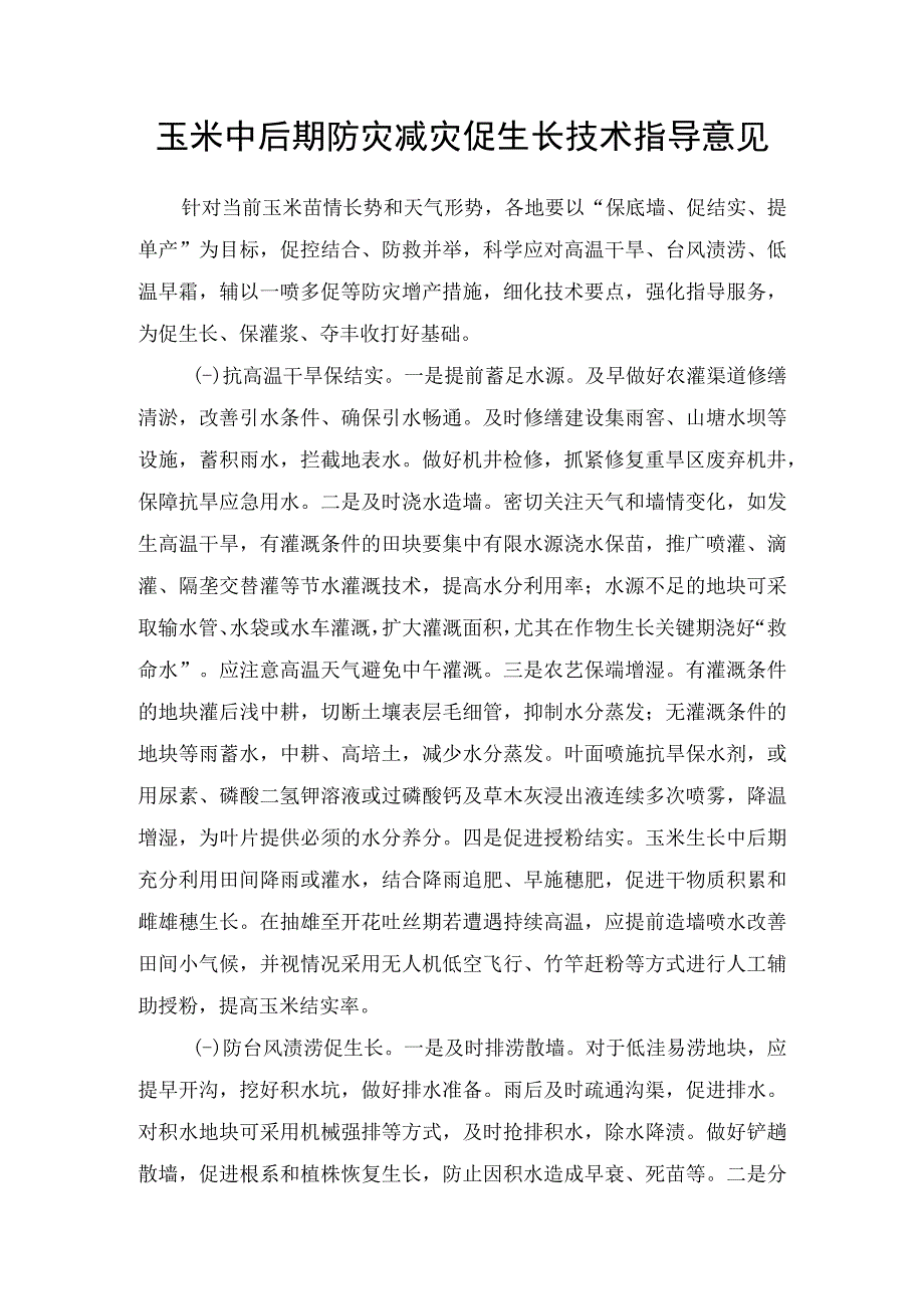 玉米中后期防灾减灾促生长技术指导意见.docx_第1页