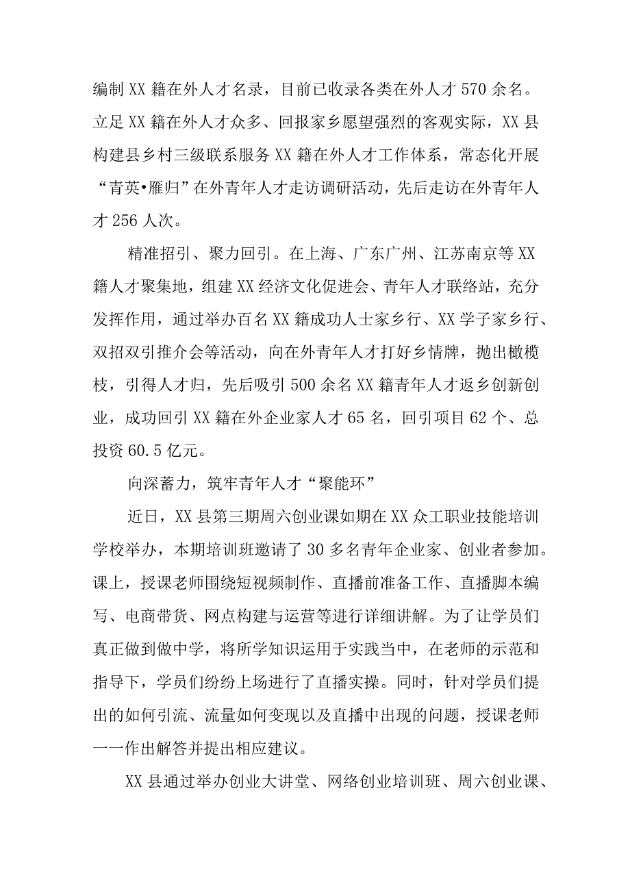 深入实施新时代“青英荟聚人才计划”工作总结.docx_第3页