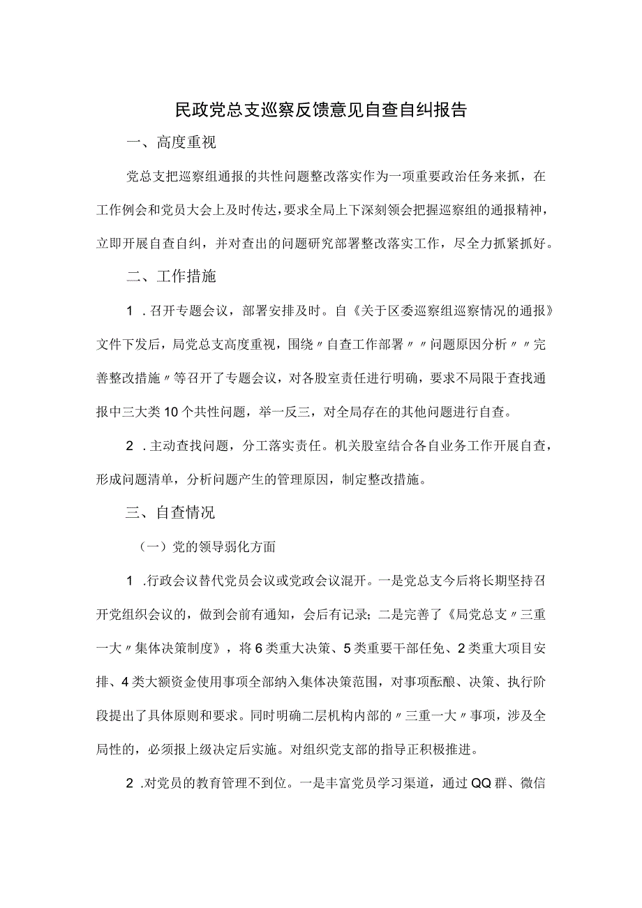 民政党总支巡察反馈意见自查自纠报告.docx_第1页