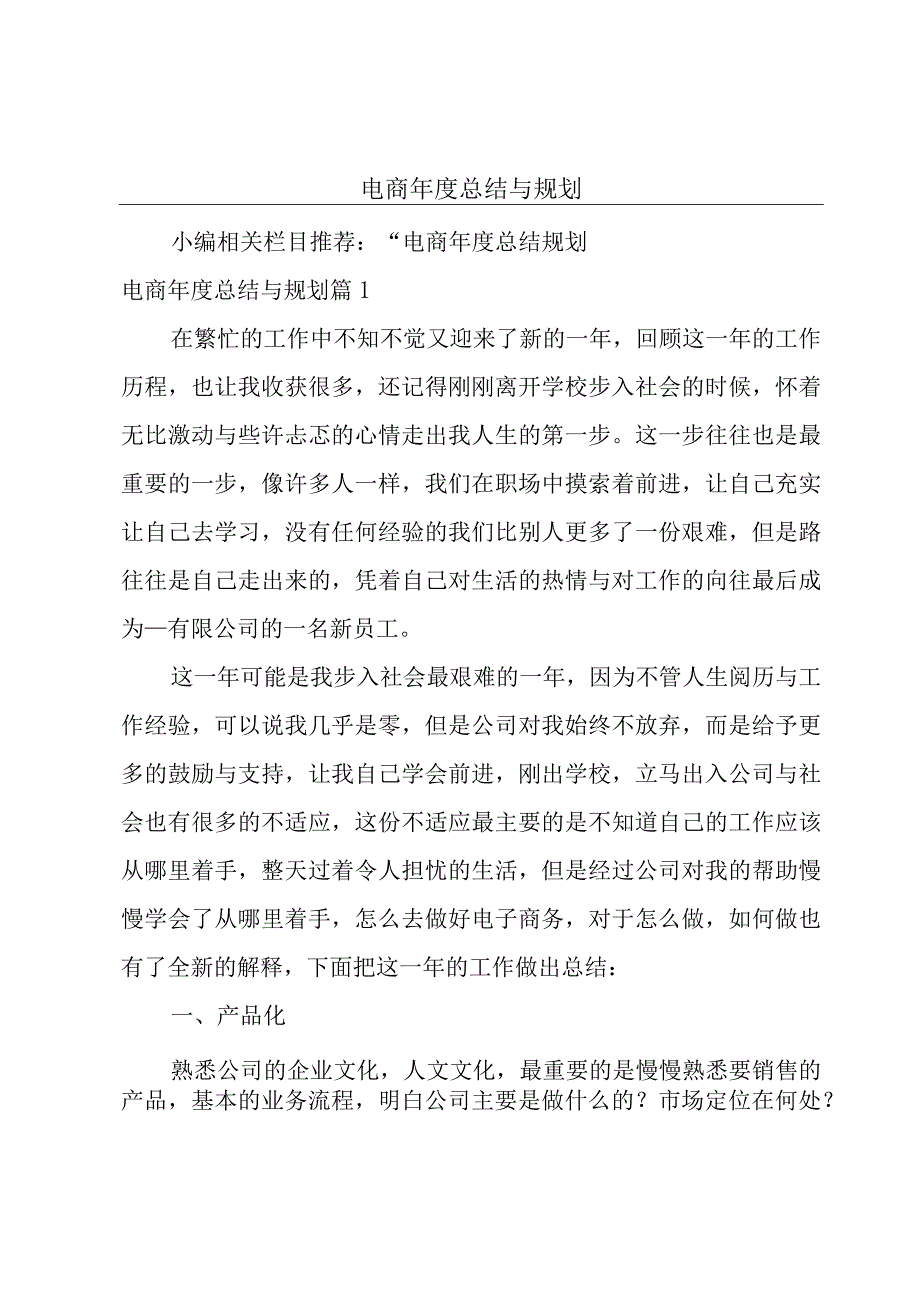 电商年度总结与规划.docx_第1页