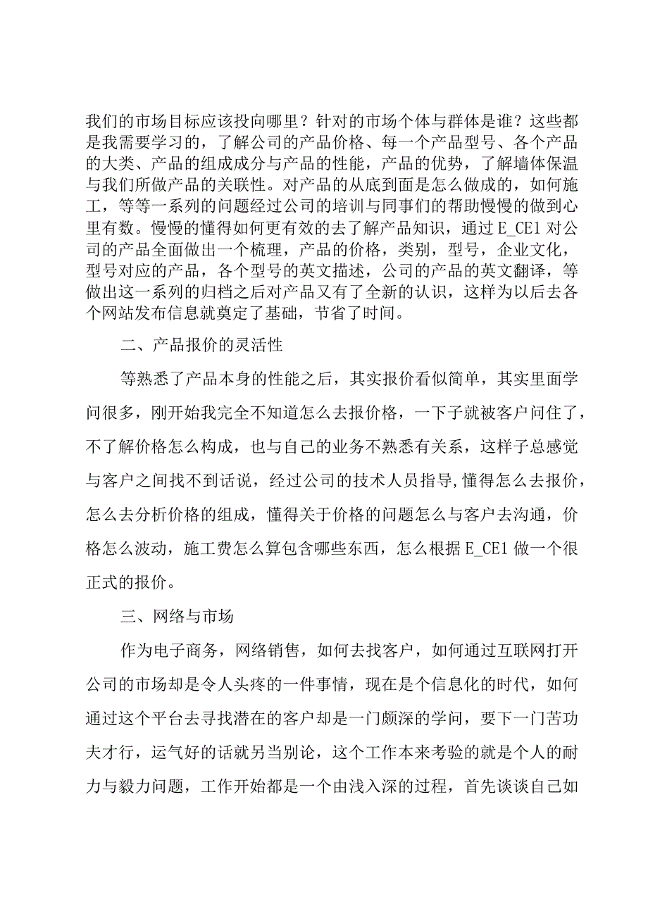 电商年度总结与规划.docx_第2页