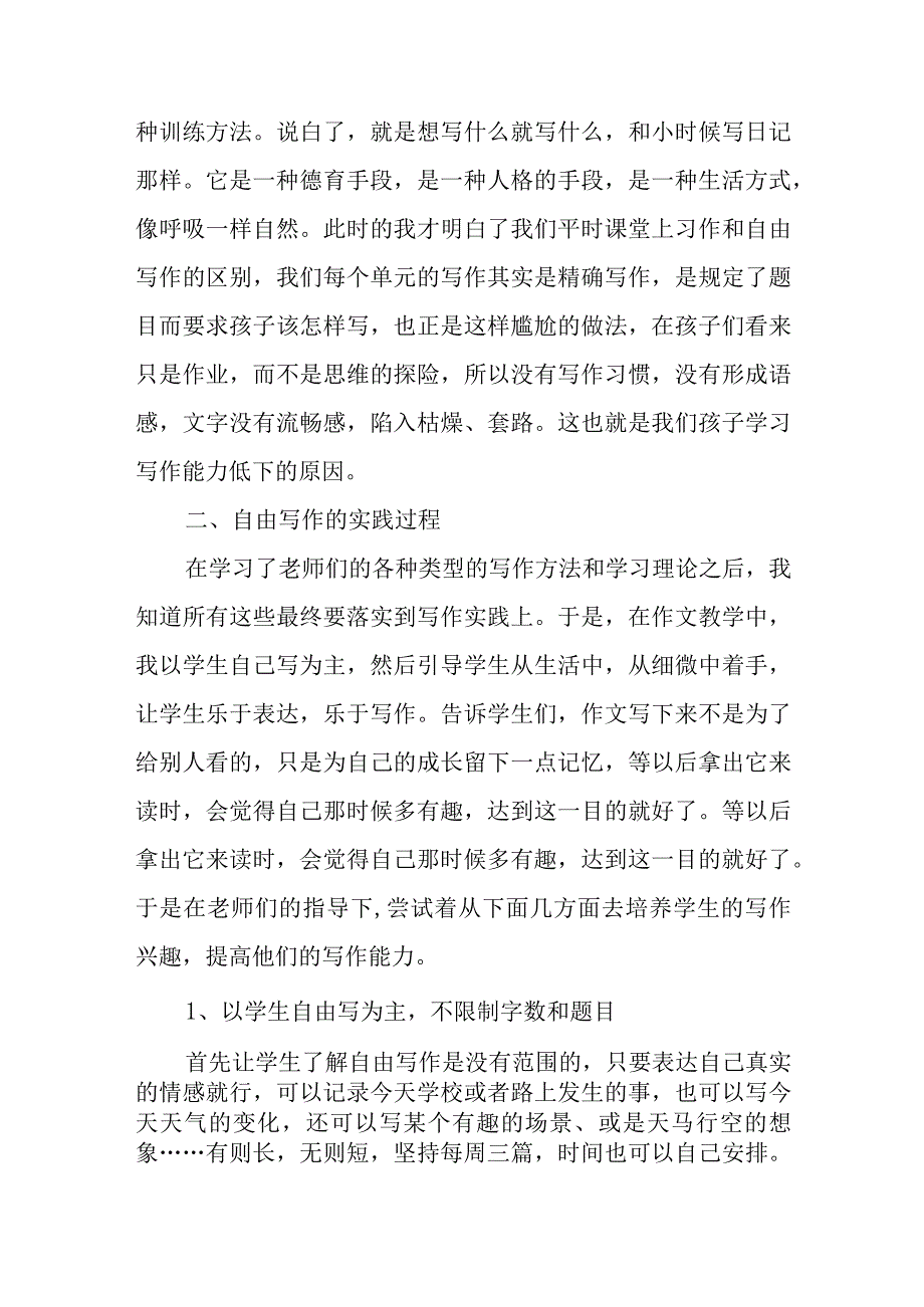 自由写作实践总结.docx_第2页