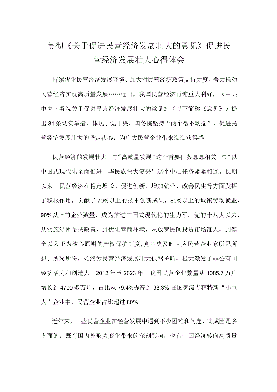 贯彻《关于促进民营经济发展壮大的意见》促进民营经济发展壮大心得体会.docx_第1页