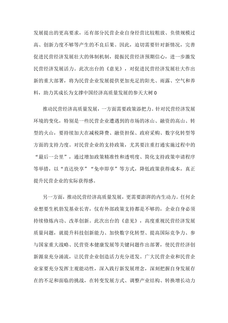 贯彻《关于促进民营经济发展壮大的意见》促进民营经济发展壮大心得体会.docx_第2页