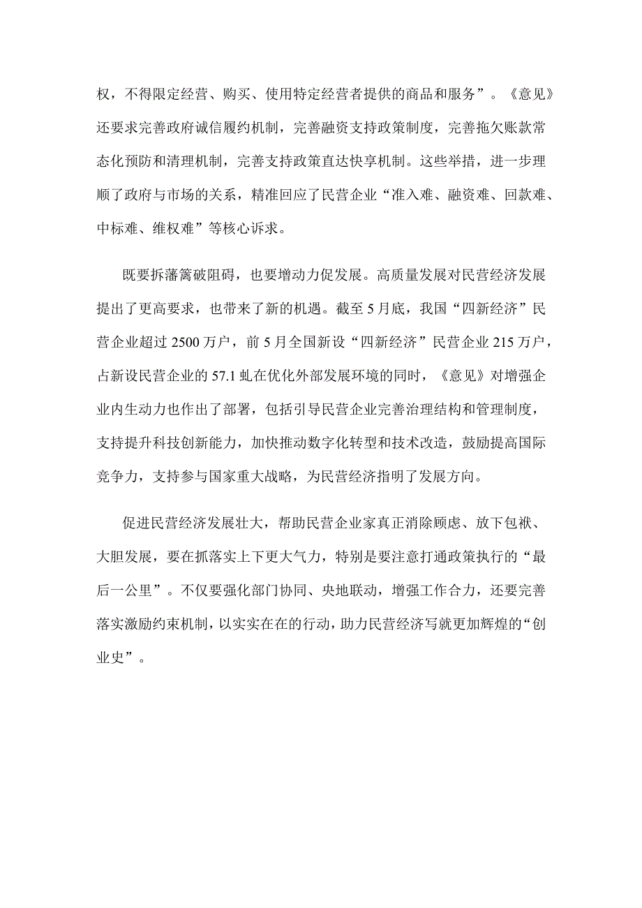 贯彻落实《关于促进民营经济发展壮大的意见》座谈发言材料.docx_第3页