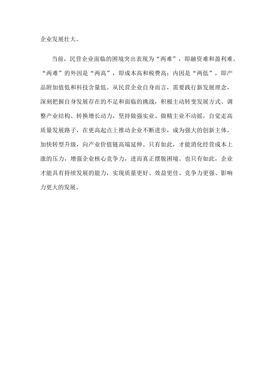 贯彻落实《关于促进民营经济发展壮大的意见》心得体会发言.docx_第3页