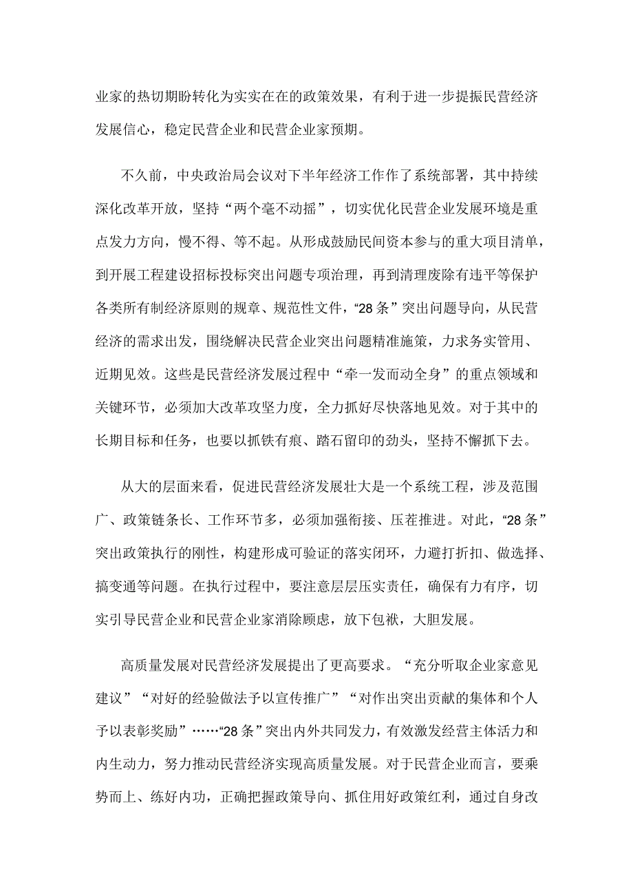 贯彻落实《关于实施促进民营经济发展近期若干举措的通知》心得发言稿.docx_第2页