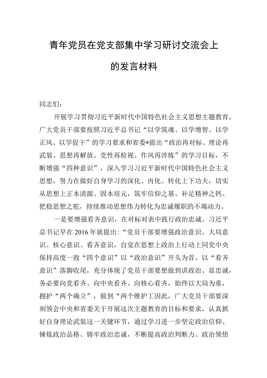 青年党员在党支部集中学习研讨交流会上的发言材料.docx_第1页