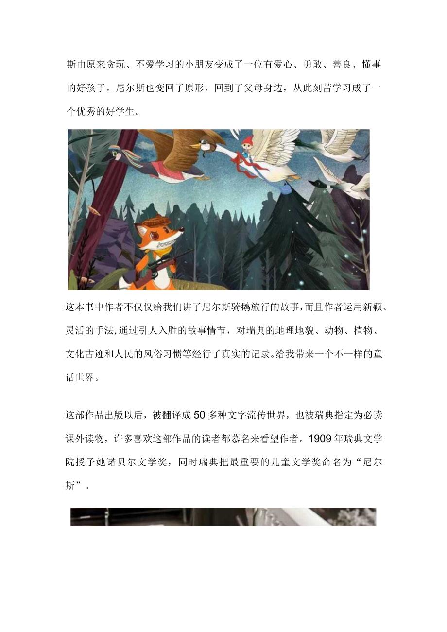 骑鹅旅行记介绍.docx_第2页