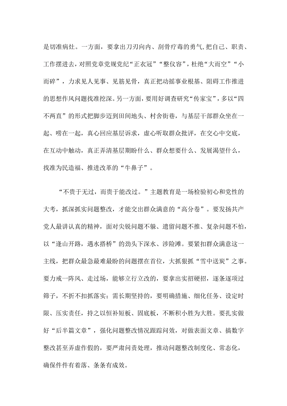 贯彻落实主题教育整改整治工作推进会精神心得体会.docx_第2页