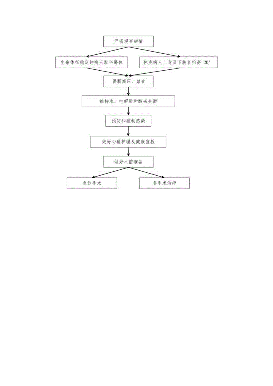 胃肠道穿孔抢救护理预案与流程.docx_第2页