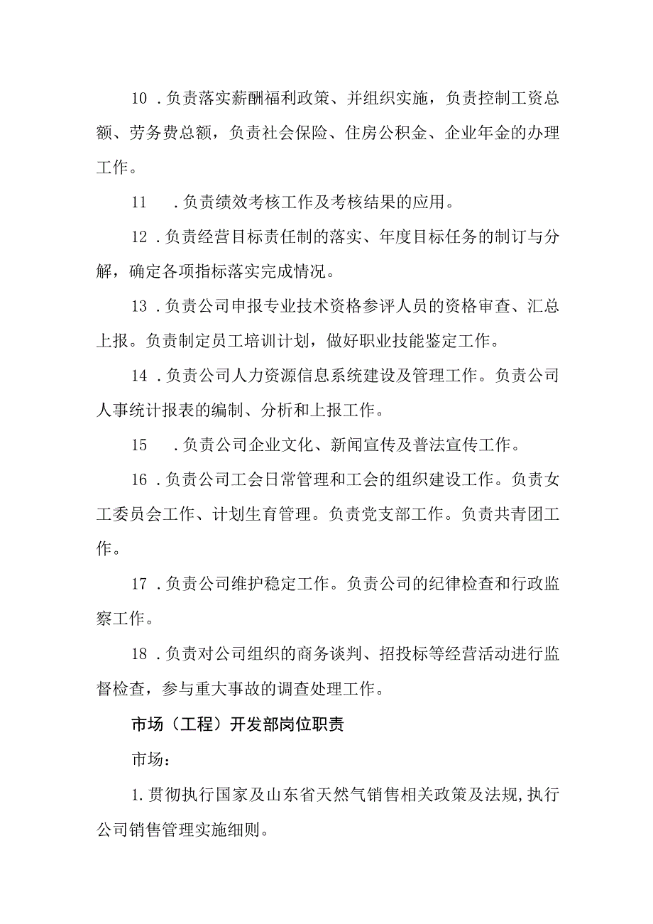 能源技术开发有限公司岗位职责.docx_第2页