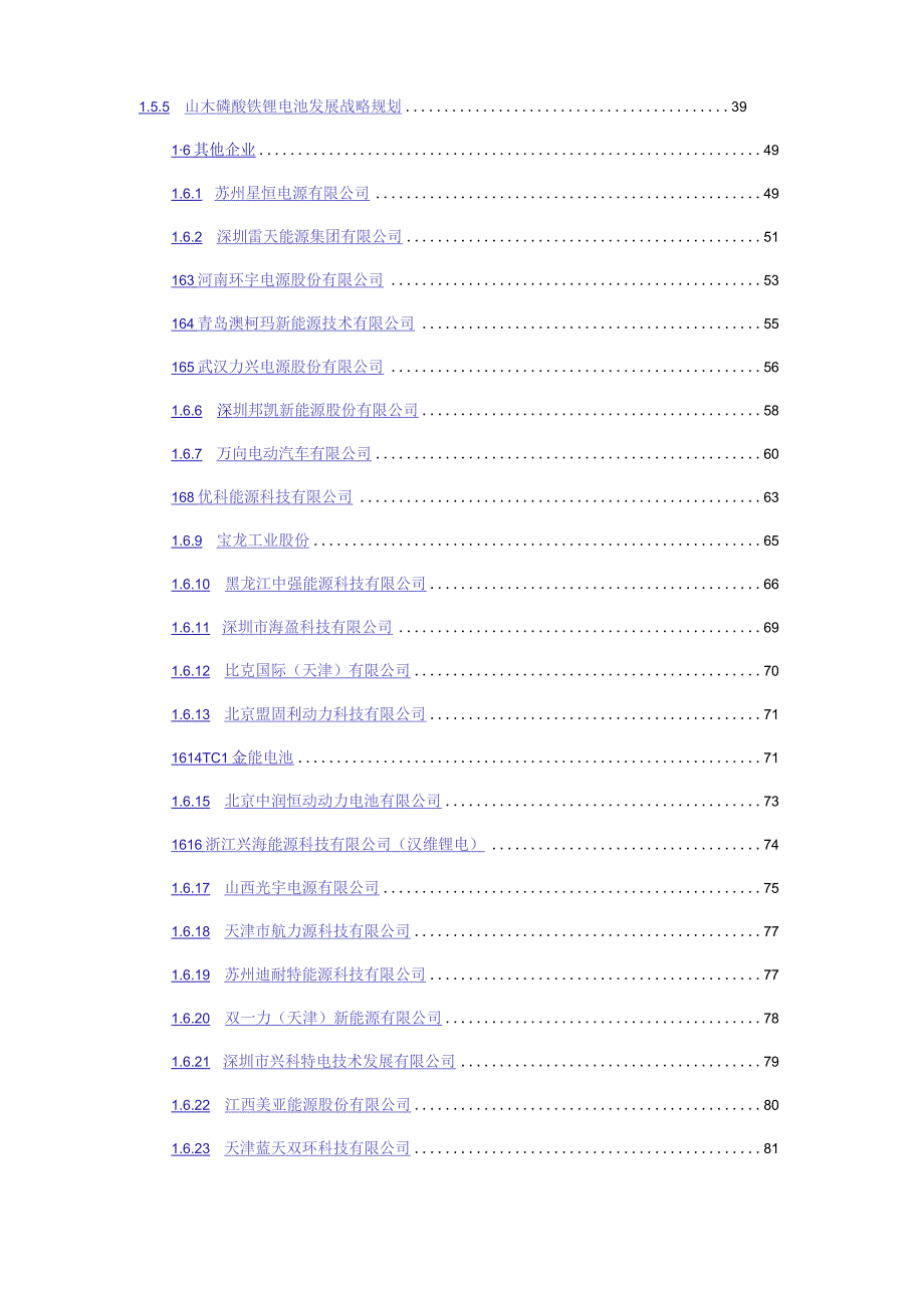 锂电池重点企业分析.docx_第2页