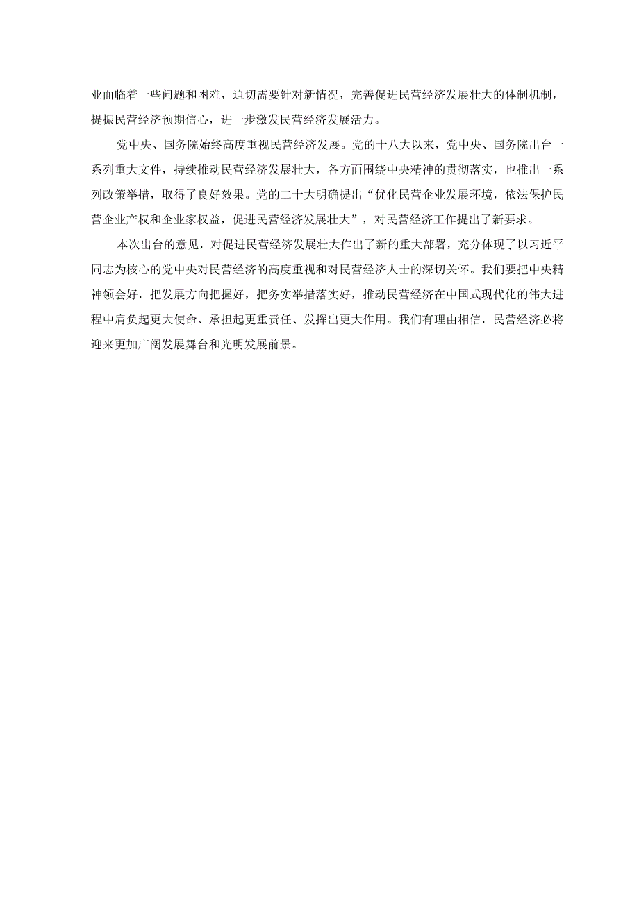 （3篇）2023年促进民营经济发展壮大心得体会.docx_第3页