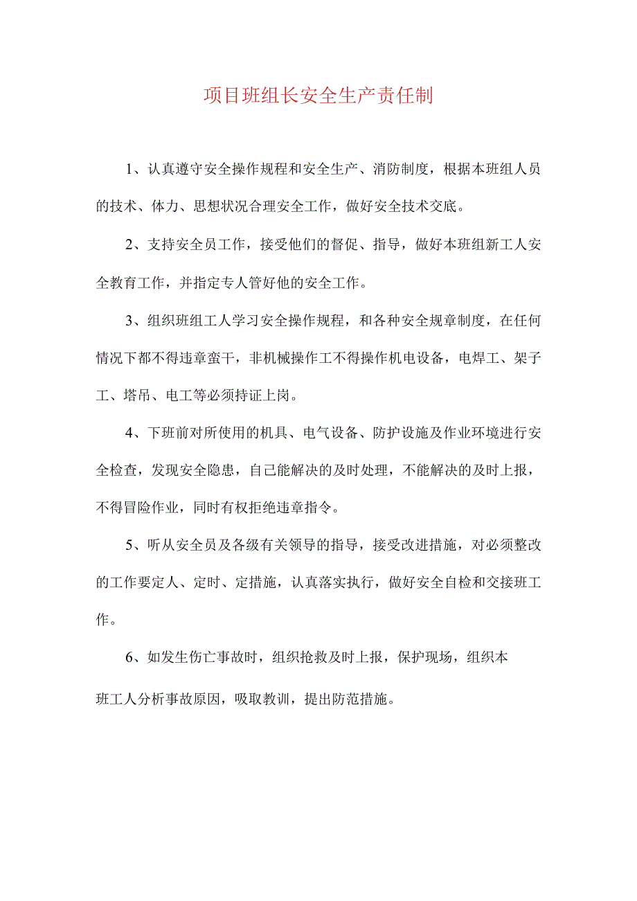 项目班组长安全生产责任制.docx_第1页