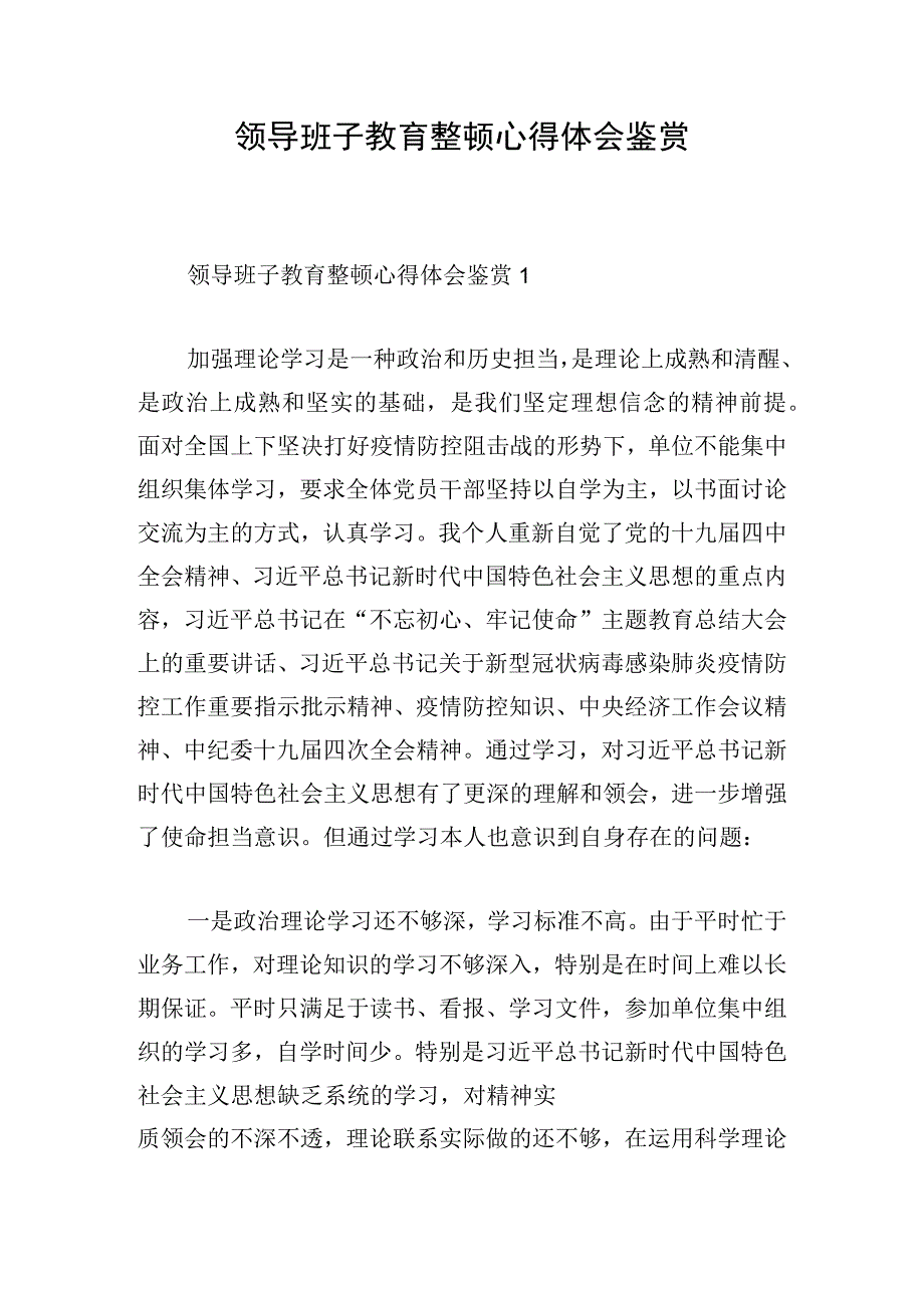 领导班子教育整顿心得体会鉴赏.docx_第1页