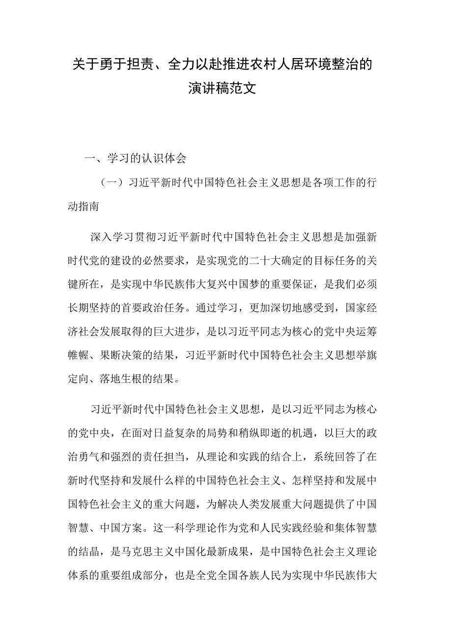 关于勇于担责、全力以赴推进农村人居环境整治的演讲稿范文.docx_第1页