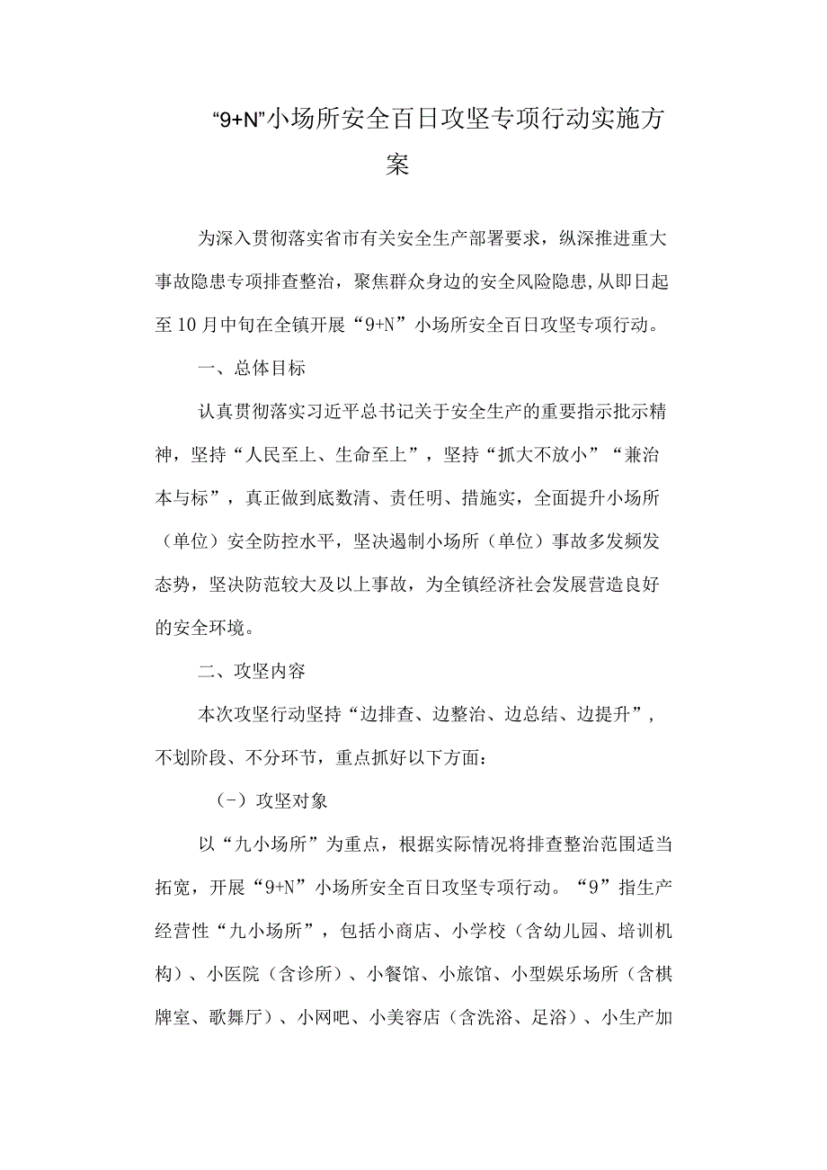 “9+N”小场所安全百日攻坚专项行动实施方案.docx_第1页