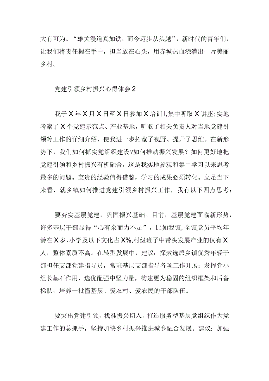 党建引领乡村振兴心得体会4篇.docx_第2页