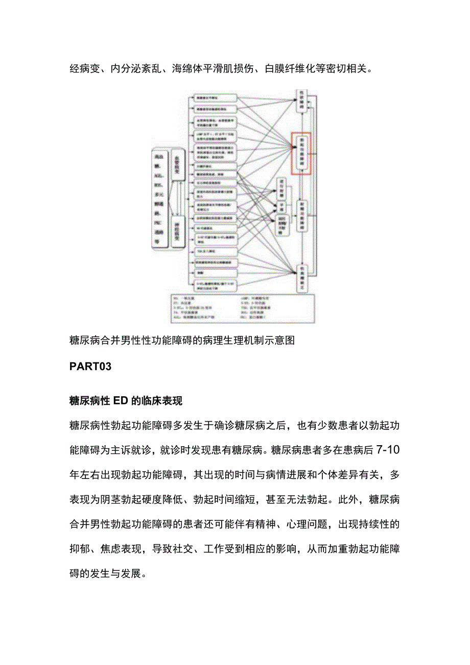 2023糖尿病合并男性勃起功能障碍患者的评估、治疗及预防.docx_第2页