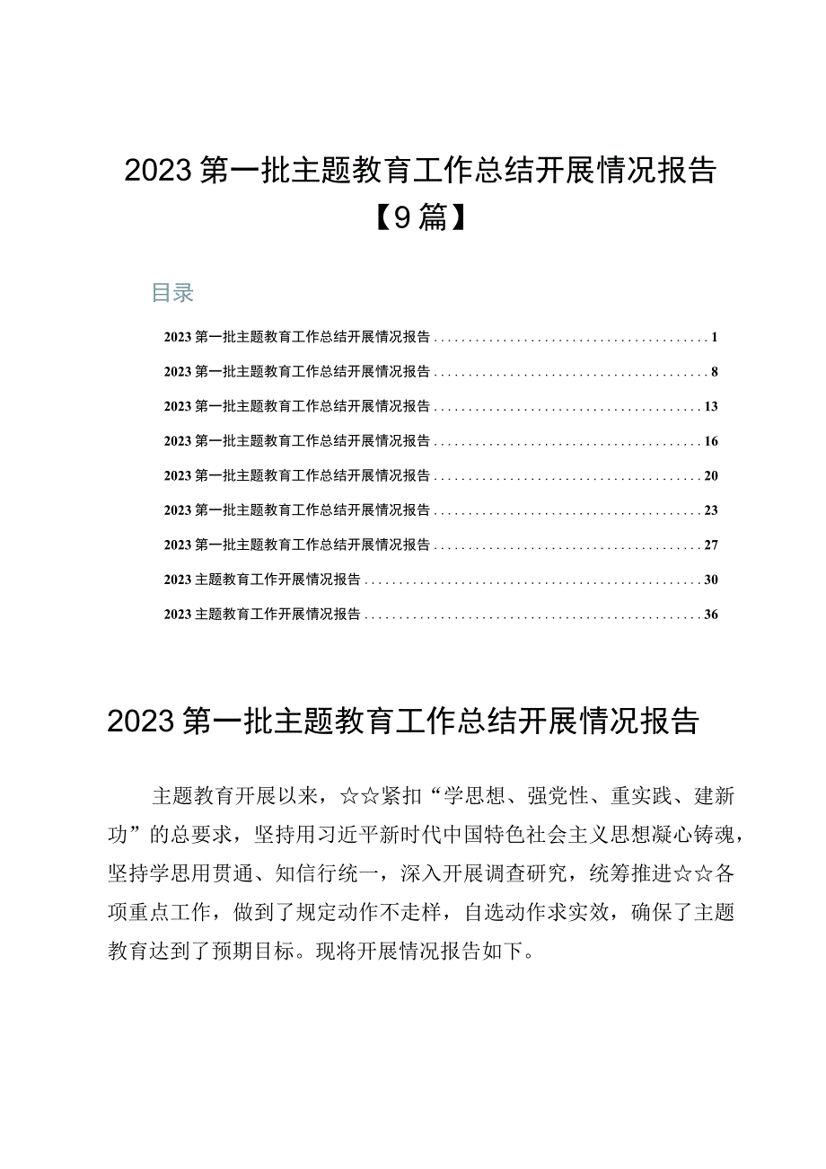 2023第一批主题教育工作总结开展情况报告【9篇】.docx_第1页