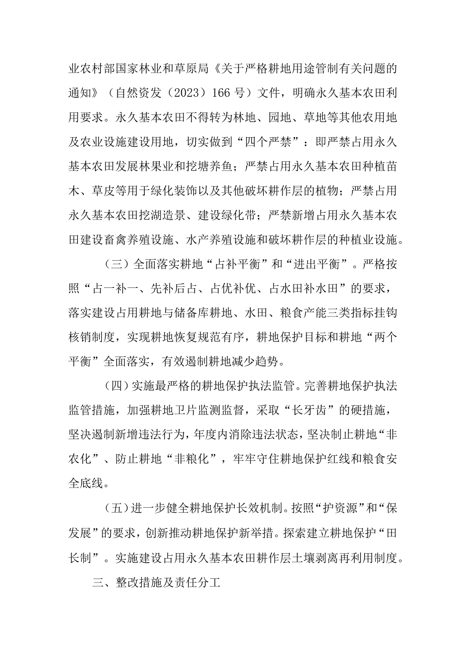 XX市耕地保护领域突出问题专项整改工作方案.docx_第2页