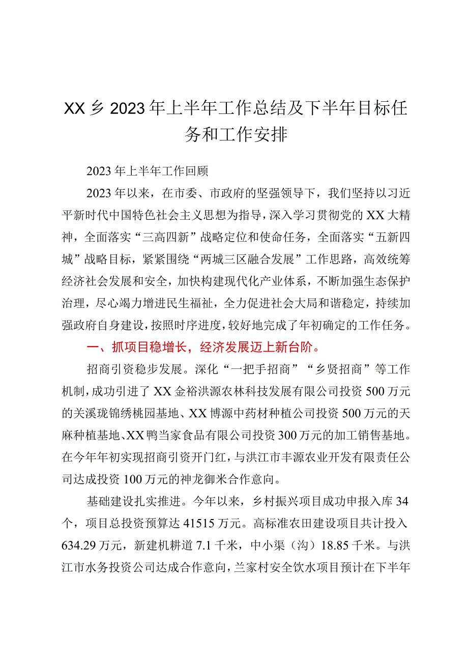 XX乡2023年上半年工作总结及下半年目标任务和工作安排.docx_第1页