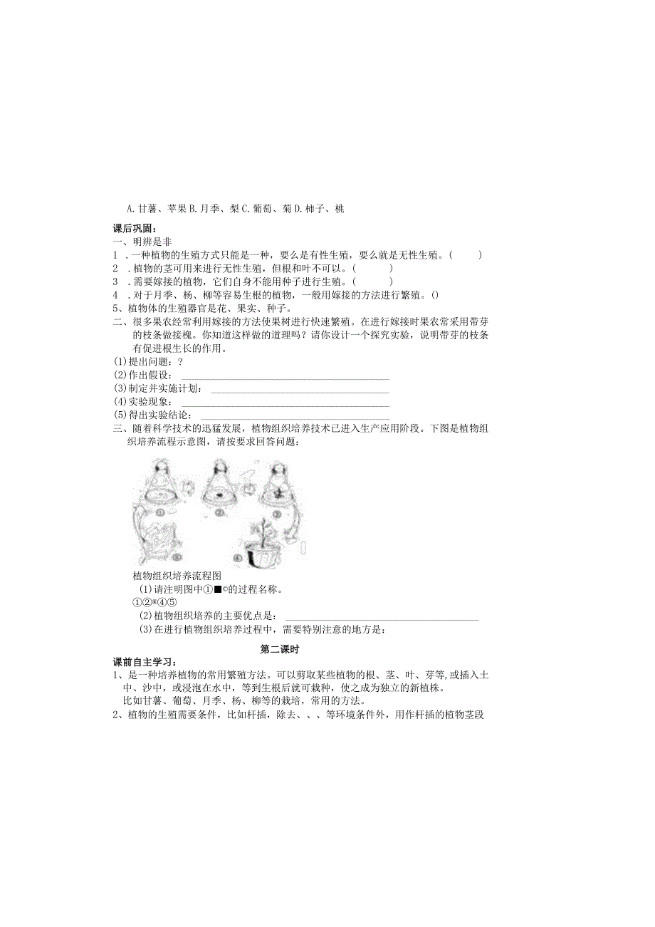 14.2植物的有性生殖学案1（苏教版八年级下）.docx_第3页