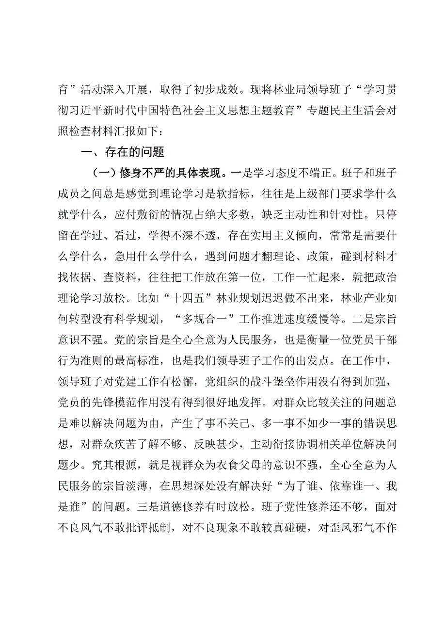 2023围绕“照镜子、正衣冠、洗洗澡、治治病”专题民主生活会班子对照检查材料【10篇】.docx_第2页