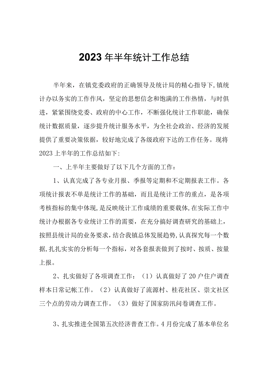 2023年半年统计工作总结.docx_第1页