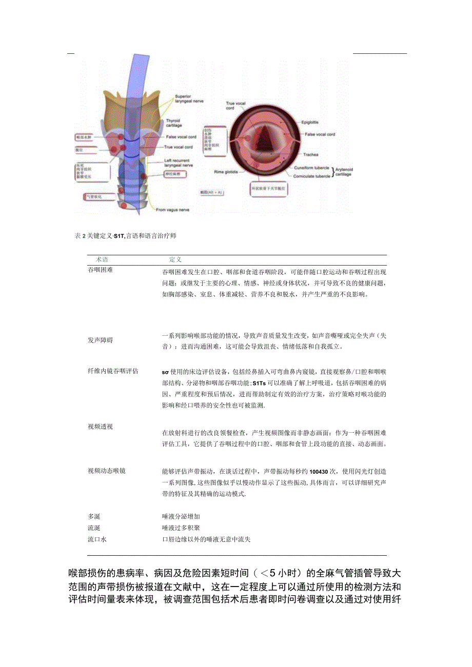 2023气管插管及气管切开术后的喉部并发症.docx_第3页