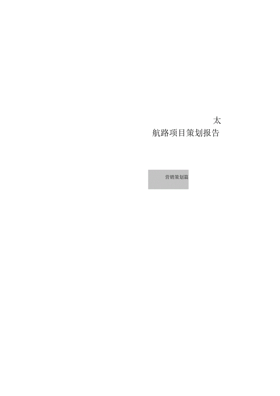 太航路项目策划报告.docx_第1页