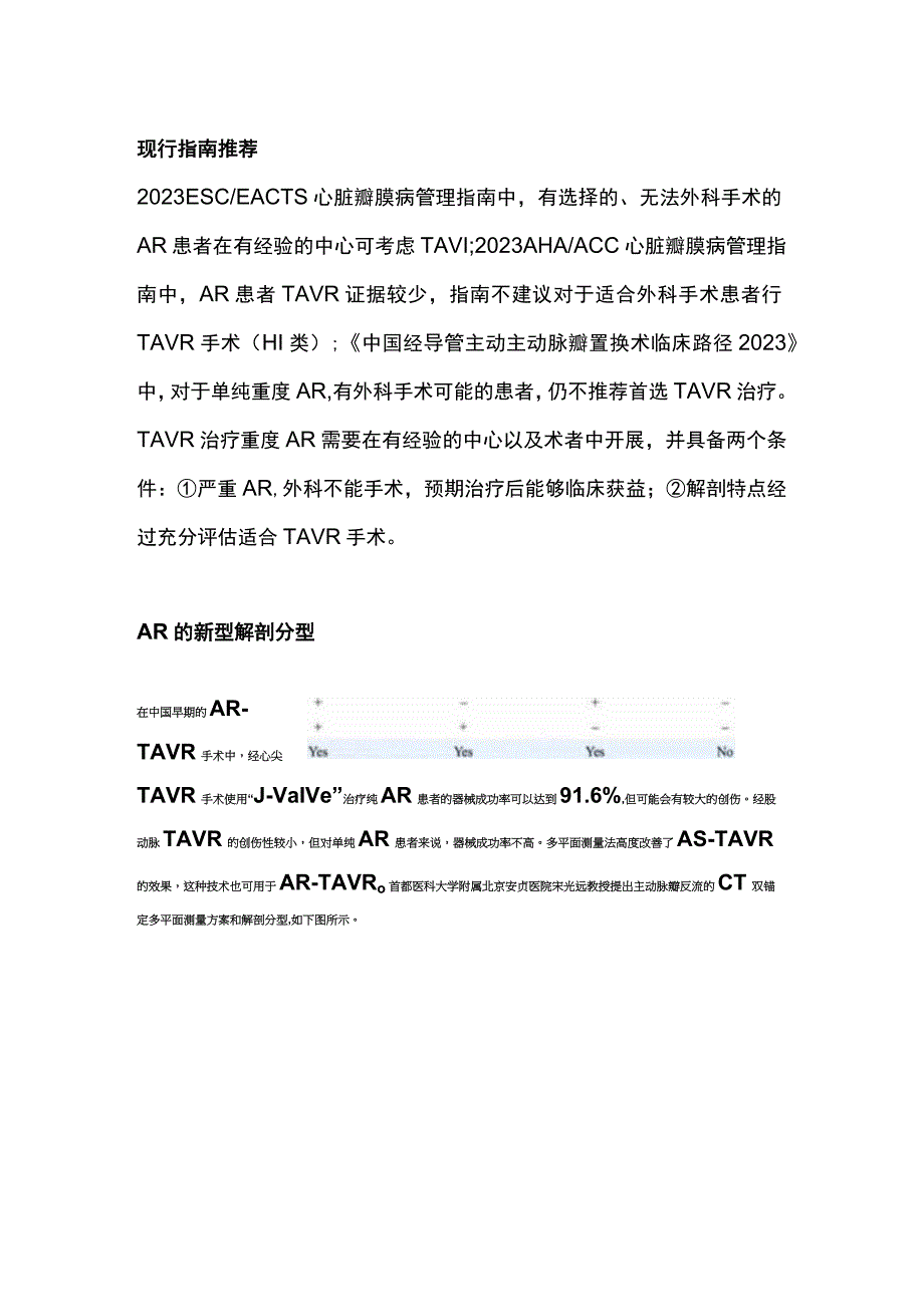 最新：TAVR优化策略的中国方案.docx_第2页